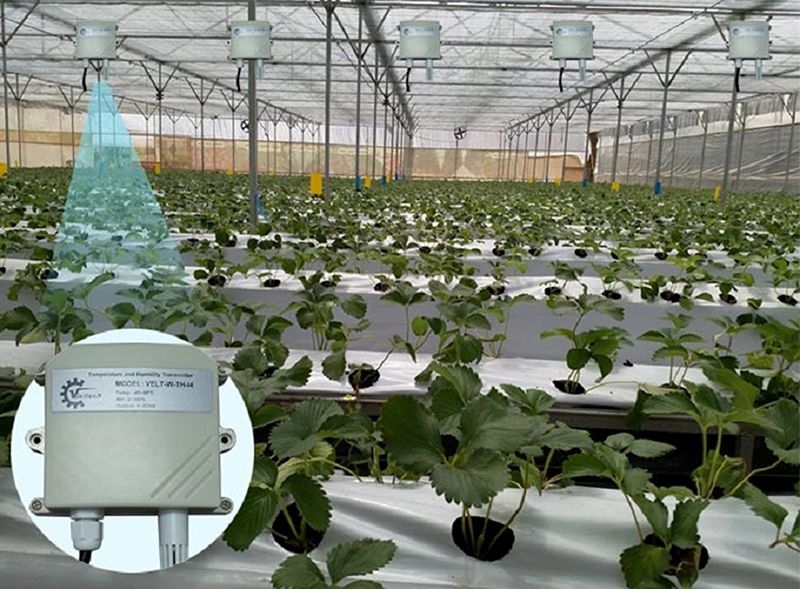 Trồng trọt thông minh – Tối ưu hóa tưới tiêu và mùa vụ