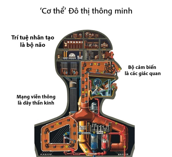 co-the-do-thi-thong-minh